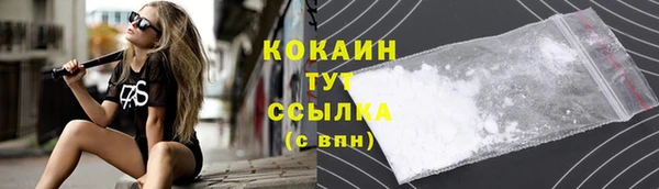 эйфоретик Дмитриев