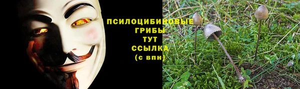 амфетамин Гусь-Хрустальный